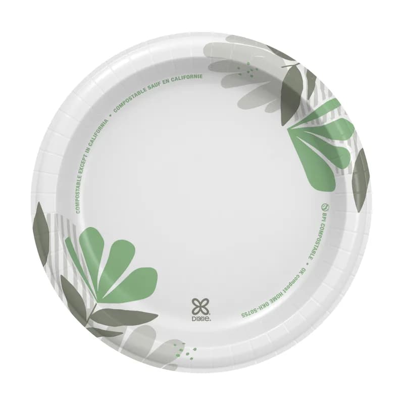 Dixie® Plate 8.5 IN Paper Multicolor Pathways Round Medium Weight 1000/Case