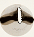 Cake Piping Tip Standard Basket Weave Tip 1/Each