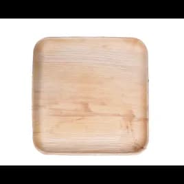 Plate 9 IN 300/Case