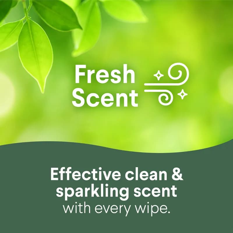 Clorox® Fresh Scent One-Step Disinfectant Multi Surface Wipe Bleach-Free Antibacterial 35 Count/Pack 12 Packs/Case