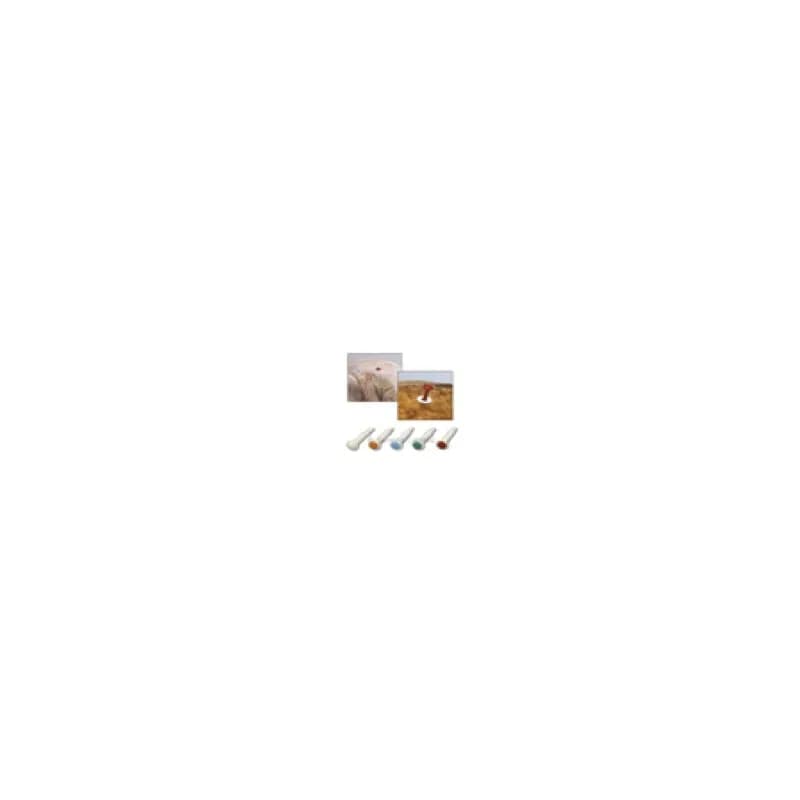 Pop-Up Timer Beef Steak Ham Label Orange 200/Box