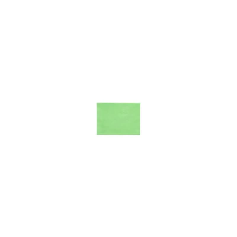 Steak & Butcher Paper Sheets 10X30 IN 40LB Green 1/Case