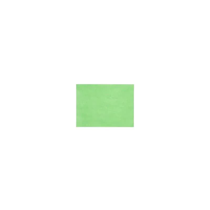 Steak & Butcher Paper Sheets 9X12 IN 40LB Green 1000 Count/Pack 1 Packs/Case