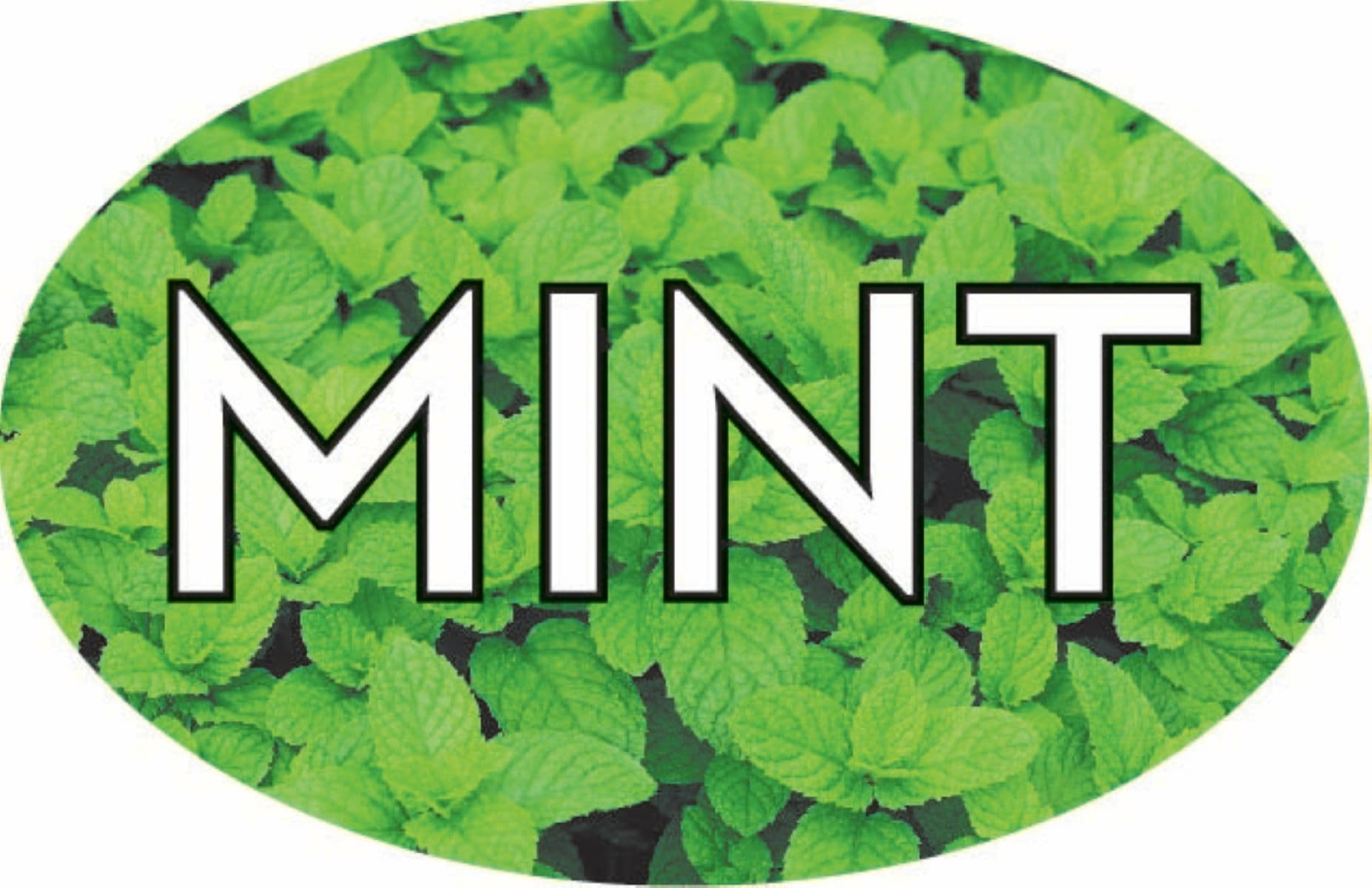 Mint Bakery Flavor Label 1.25X2 IN Oval 4 Color Process 500 Count/Roll 5 Rolls/Sleeve