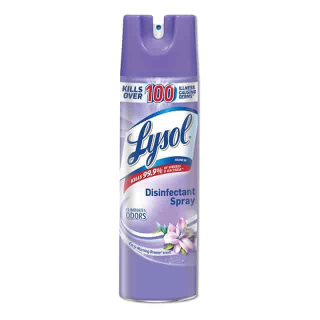 Lysol® Early Morning Breeze Disinfectant Spray 12/Case