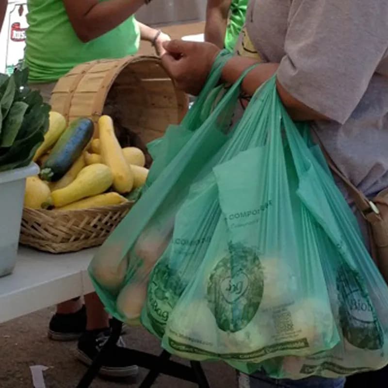 Take-Out Food Waste Bag 16.1X19.7 IN 12 LB Plant Fiber 0.8MIL Green T-Sack Side Gusset 500/Case