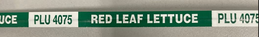 Red Leaf Lettuce Twist Tie 18X0.375 IN Paper Green White 300/Bundle