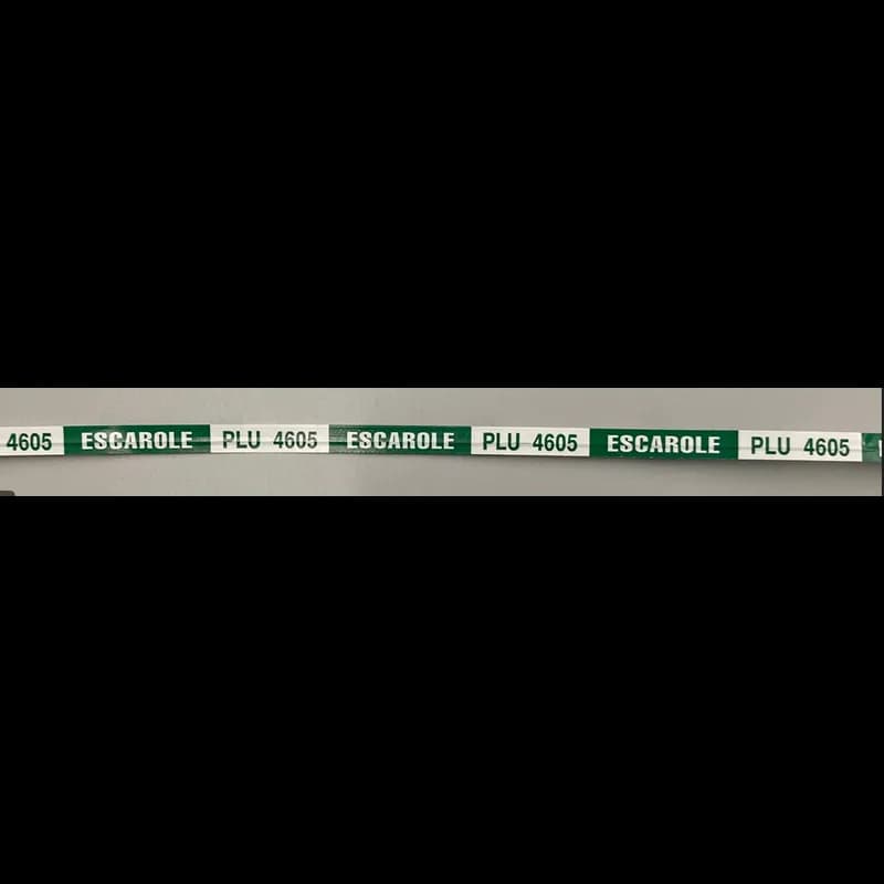 Escarole Twist Tie 18X0.375 IN Paper Green White 300/Bundle