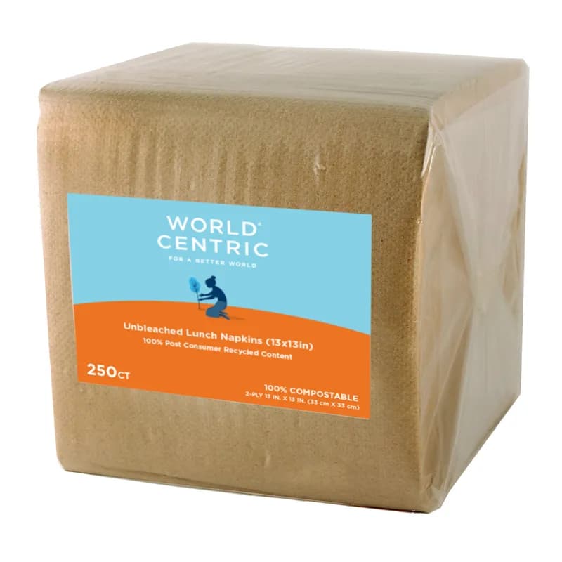 Luncheon Napkins 13X13 IN 2PLY 250 Count/Pack 18 Packs/Case 4500 Count/Case