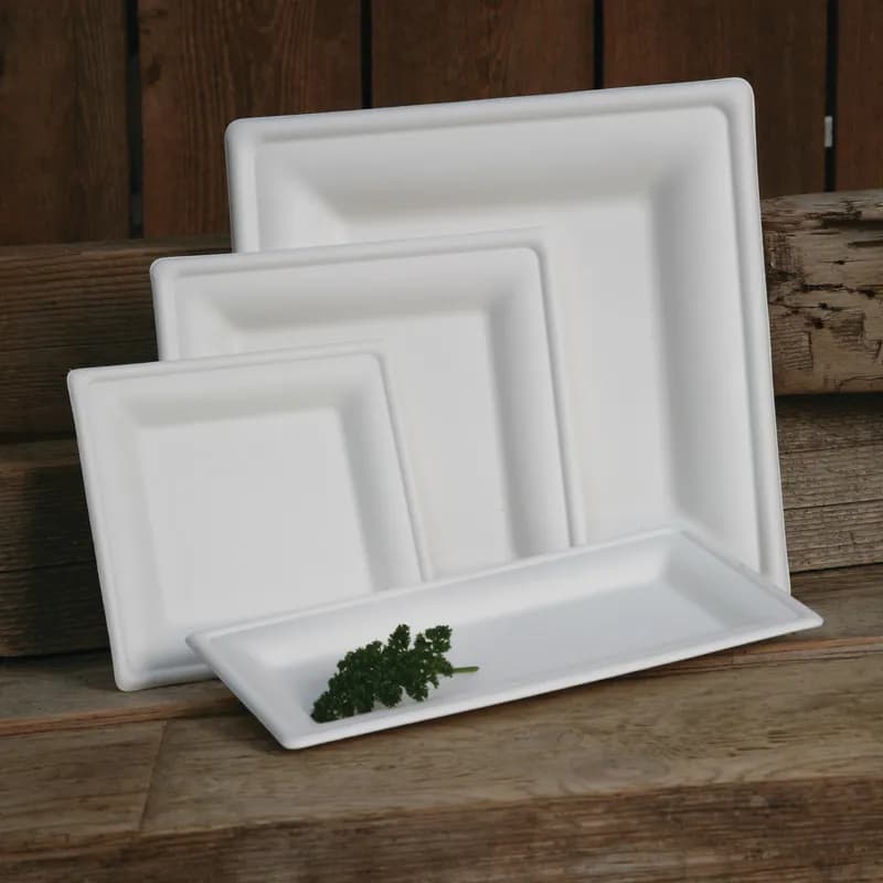 Plate 6X6X1 IN Sugarcane White Square 500/Case