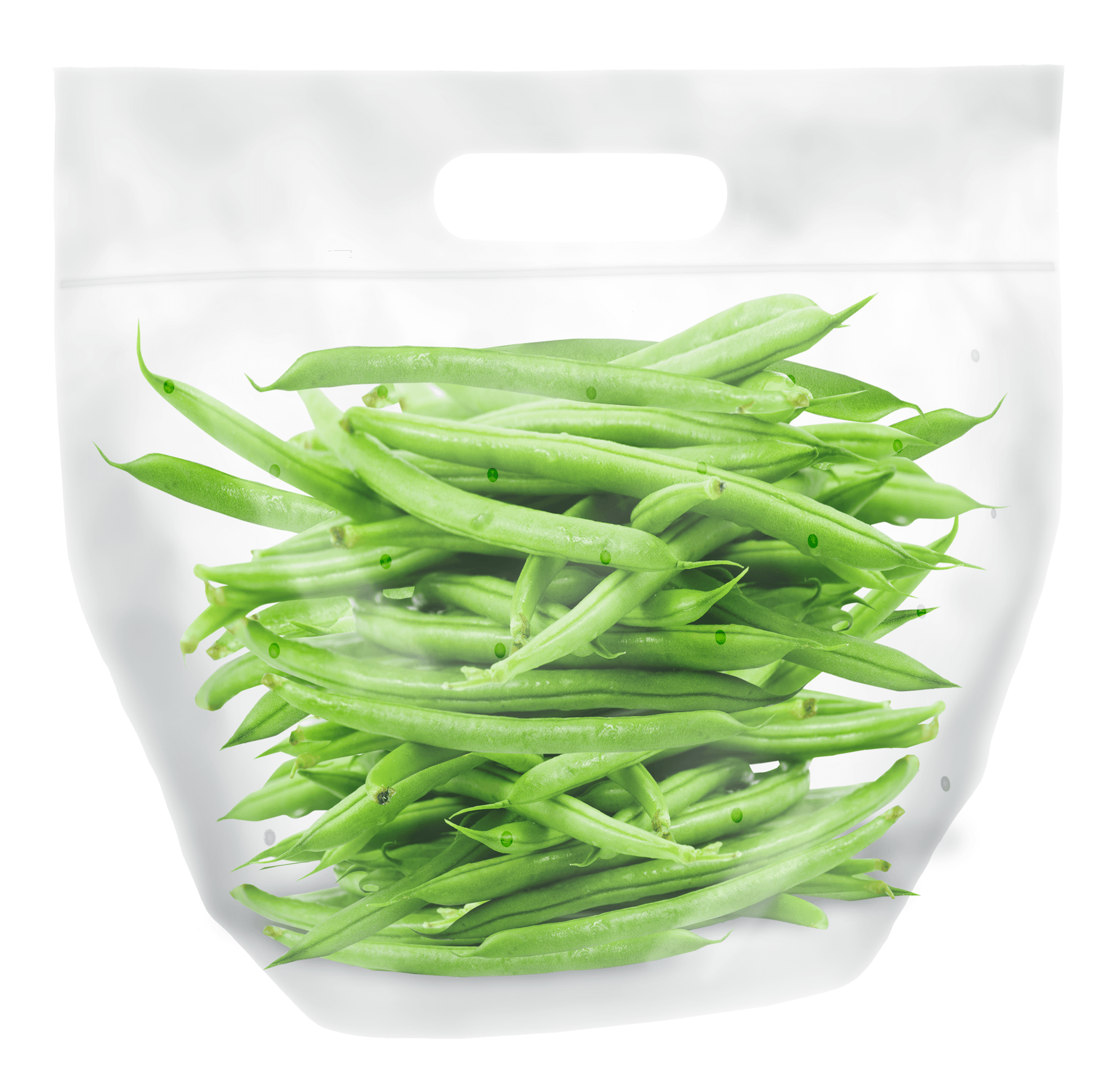 Produce Bag 9.5X10X4 IN 250/Case