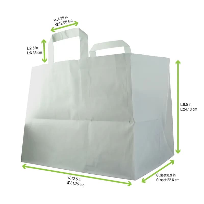 Bag 12.6X8.66X9.45 IN Paper White With Handle 250 Count/Case