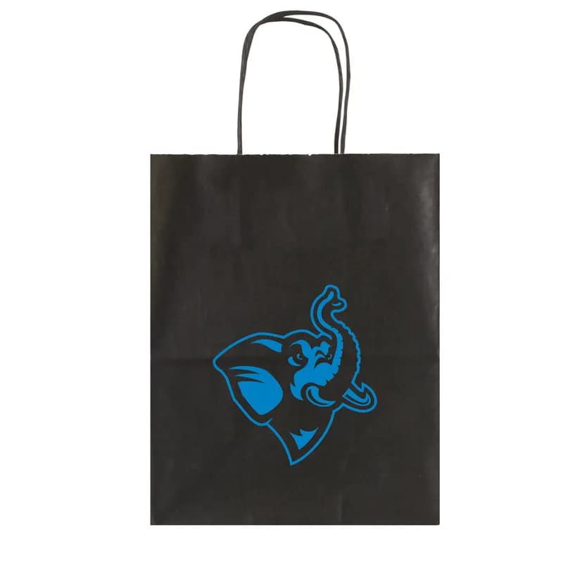 Shopper Bag 8X5X10 IN Black With Cord Handle Closure 250/Case