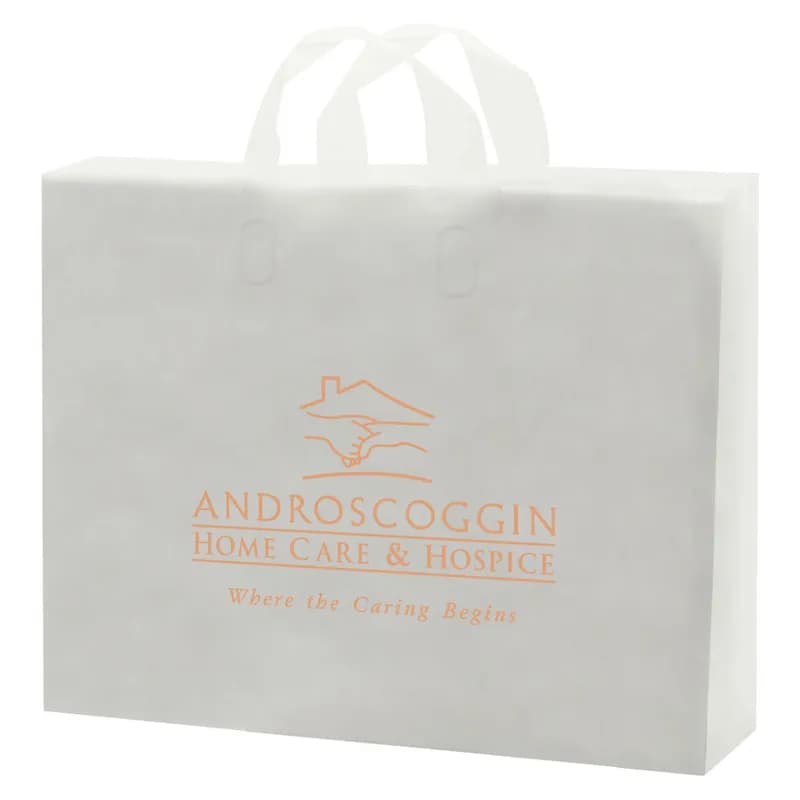 Bag 14X10X13 IN Clear Frosted With Folded Loop Handle Closure 200/Case