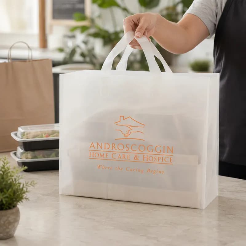 Bag 14X10X13 IN Clear Frosted With Folded Loop Handle Closure 200/Case