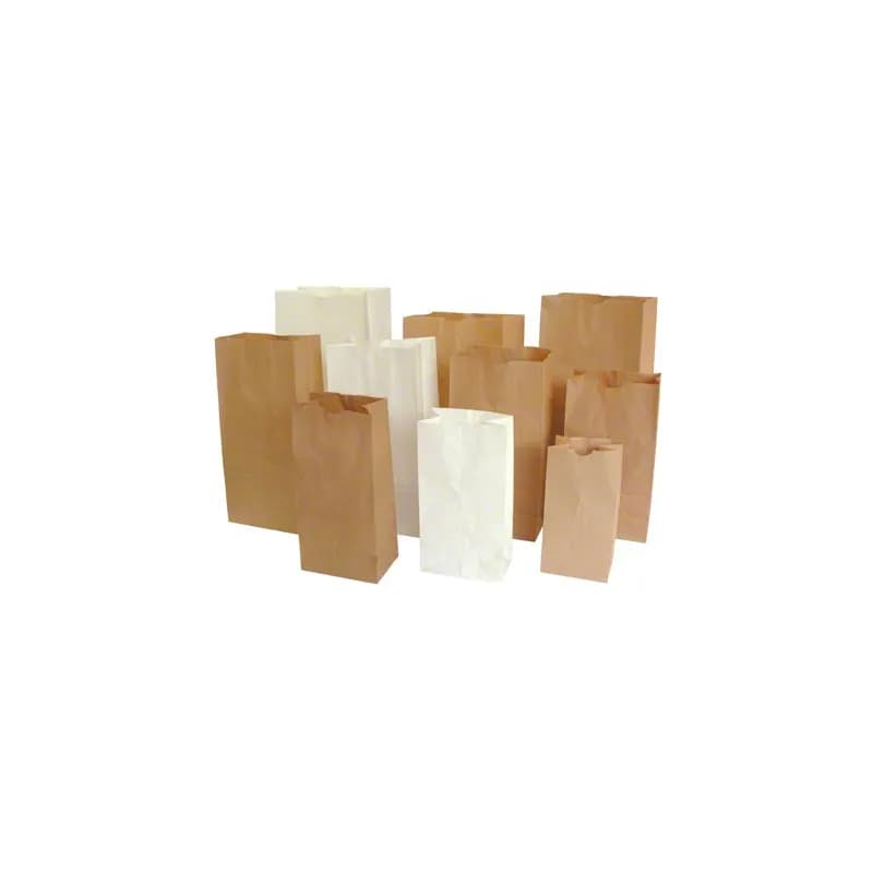 Bag #6 Extra Heavy Duty Kraft 1000/Case