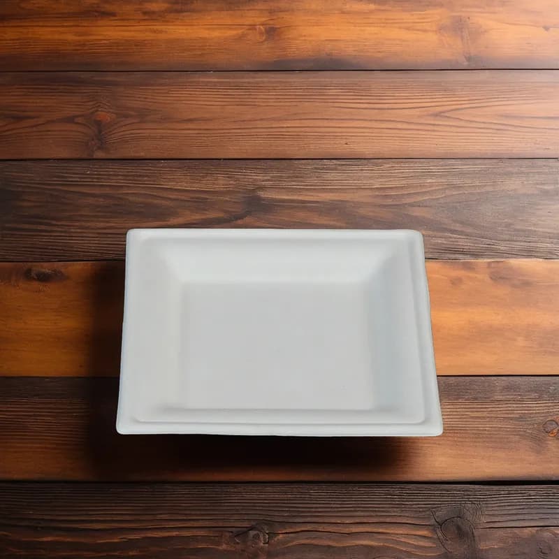 Victoria Bay Plate 6X6 IN Sugarcane White Square 500/Case