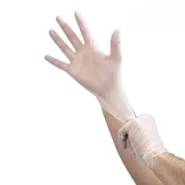Gloves Large (LG) Clear Vinyl Powder-Free 100 Count/Pack 10 Packs/Case 1000 Count/Case