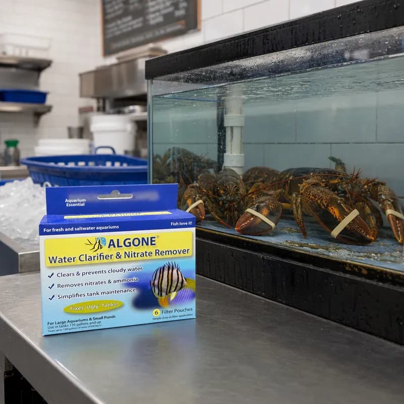 Algae Gone Lobster Tank Algae Remover 6/Pack