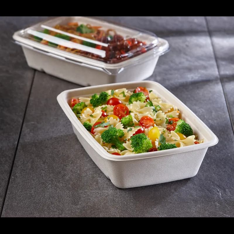 Pulp Plus™ Take-Out Container 36 OZ 6X9 IN Sugarcane Rectangle 300/Case