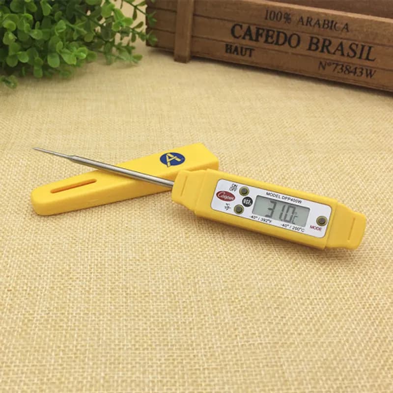 Thermometer Waterproof Pen Style 1/Each