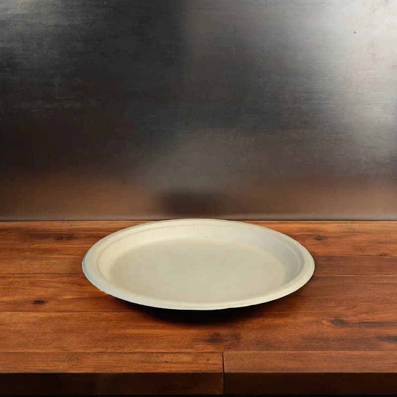 Plate 10 IN Sugarcane Kraft 500/Case