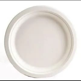 Plate 9 IN 500/Case
