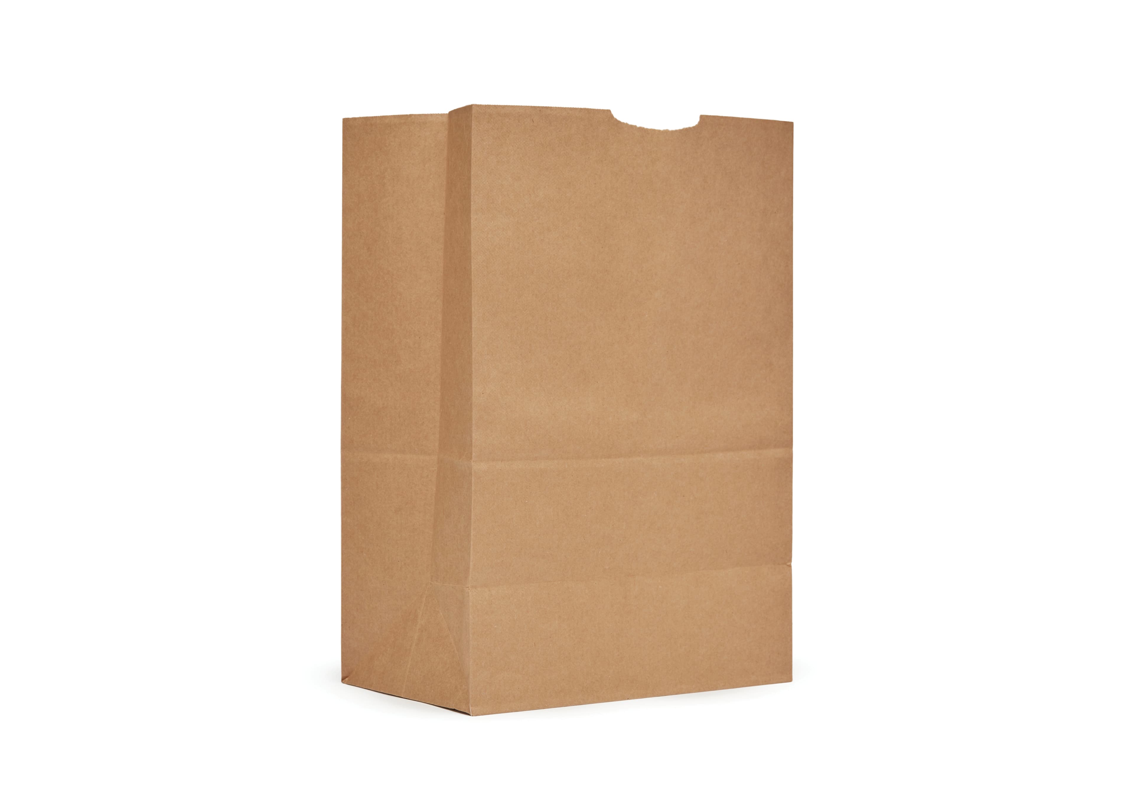 Bag 1/6/40 Paper Heavyweight 400/Bundle
