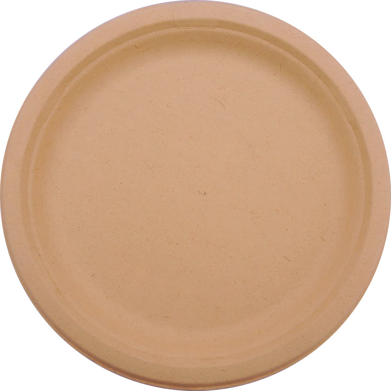 Earthable® Plate 9 IN Plant Fiber Natural 500/Case