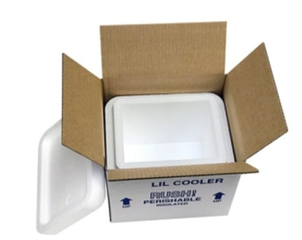Molded Cooler 20.5X16.5X15 IN EPS 1.5 IN Wall 1/Each