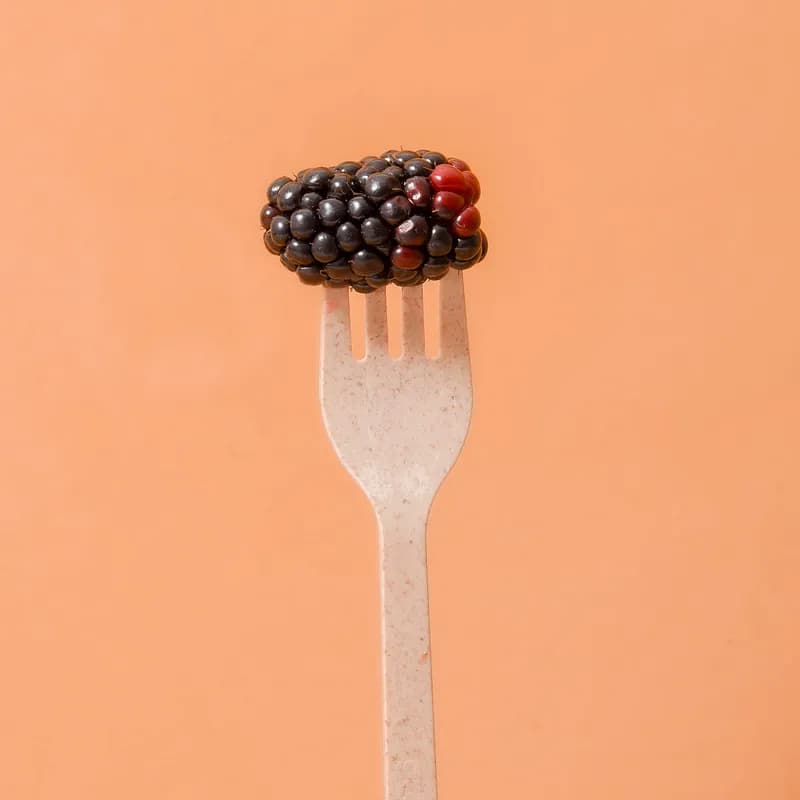 Fork 6.84 IN Agave Natural Heavyweight 1000/Case