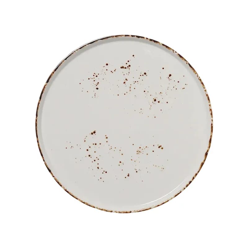 Splash Blanch Series Plate 11 IN Porcelain Round Stackable Dual Ovenable Dishwasher Safe 12/Case