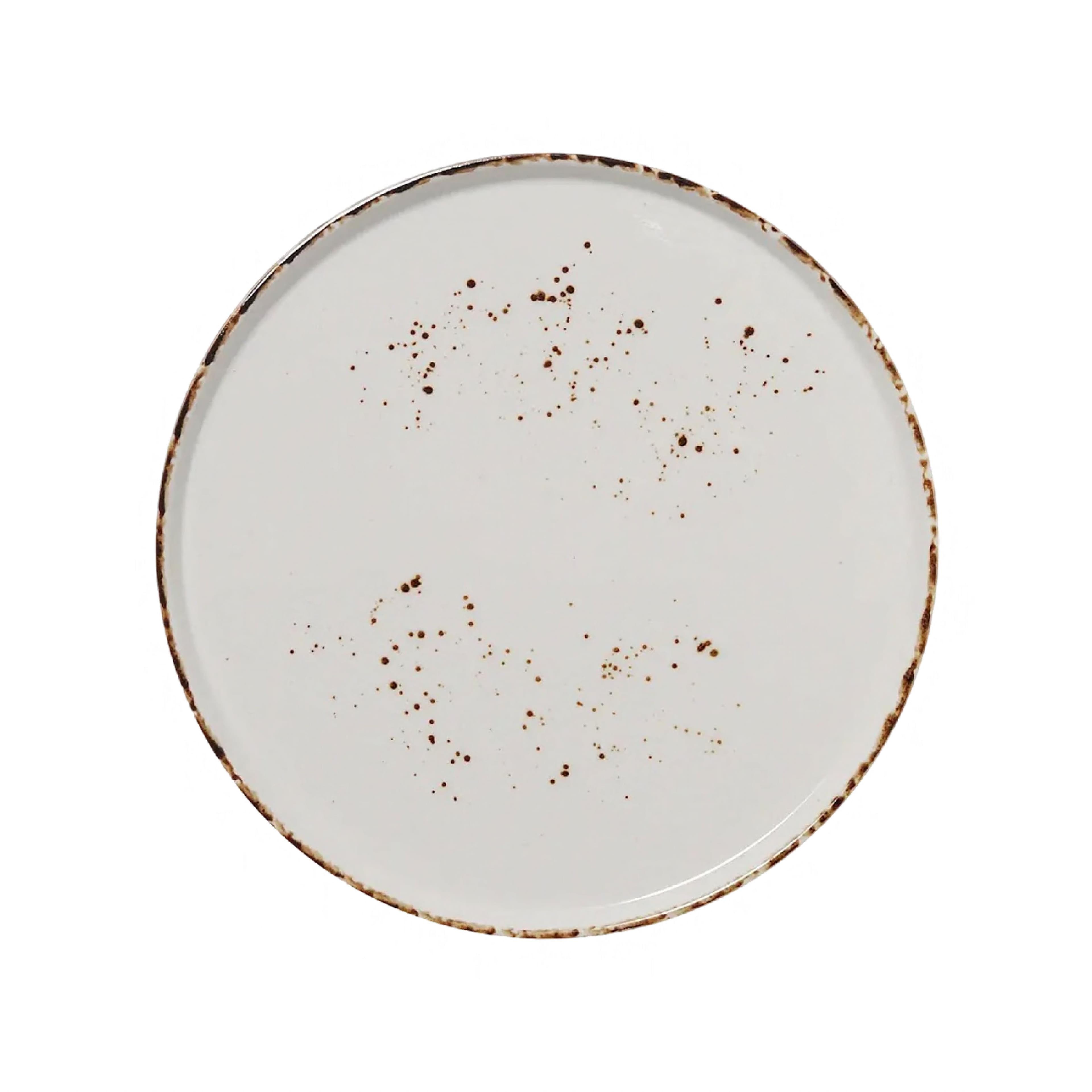 Splash Blanch Series Plate 11 IN Porcelain Round Stackable Dual Ovenable Dishwasher Safe 12/Case