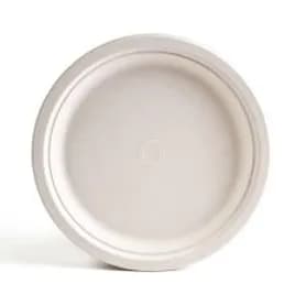 Plate 10 IN 500/Case
