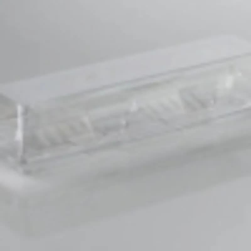 Fresh N' Sealed® Hoagie & Sub Take-Out Container Hinged With Dome Lid 12X5X3 IN PET Clear Rectangle 170/Case