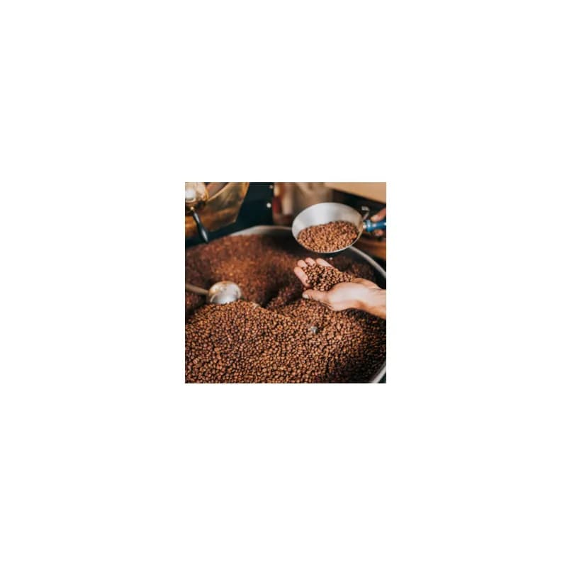 Coffee 10/Case