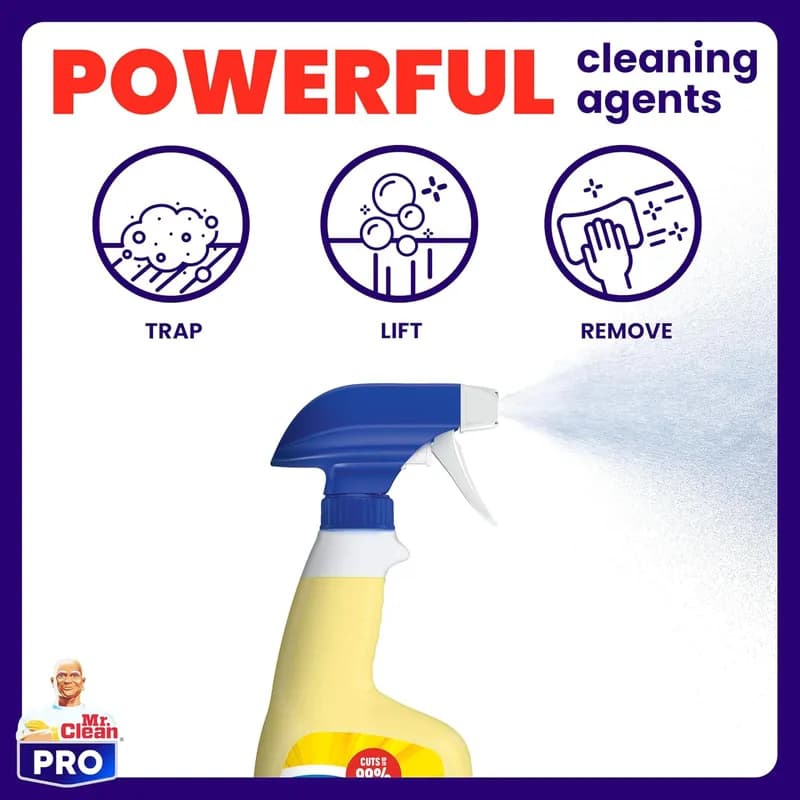 Mr. Clean PRO All Purpose Cleaner All Surface 1/Case