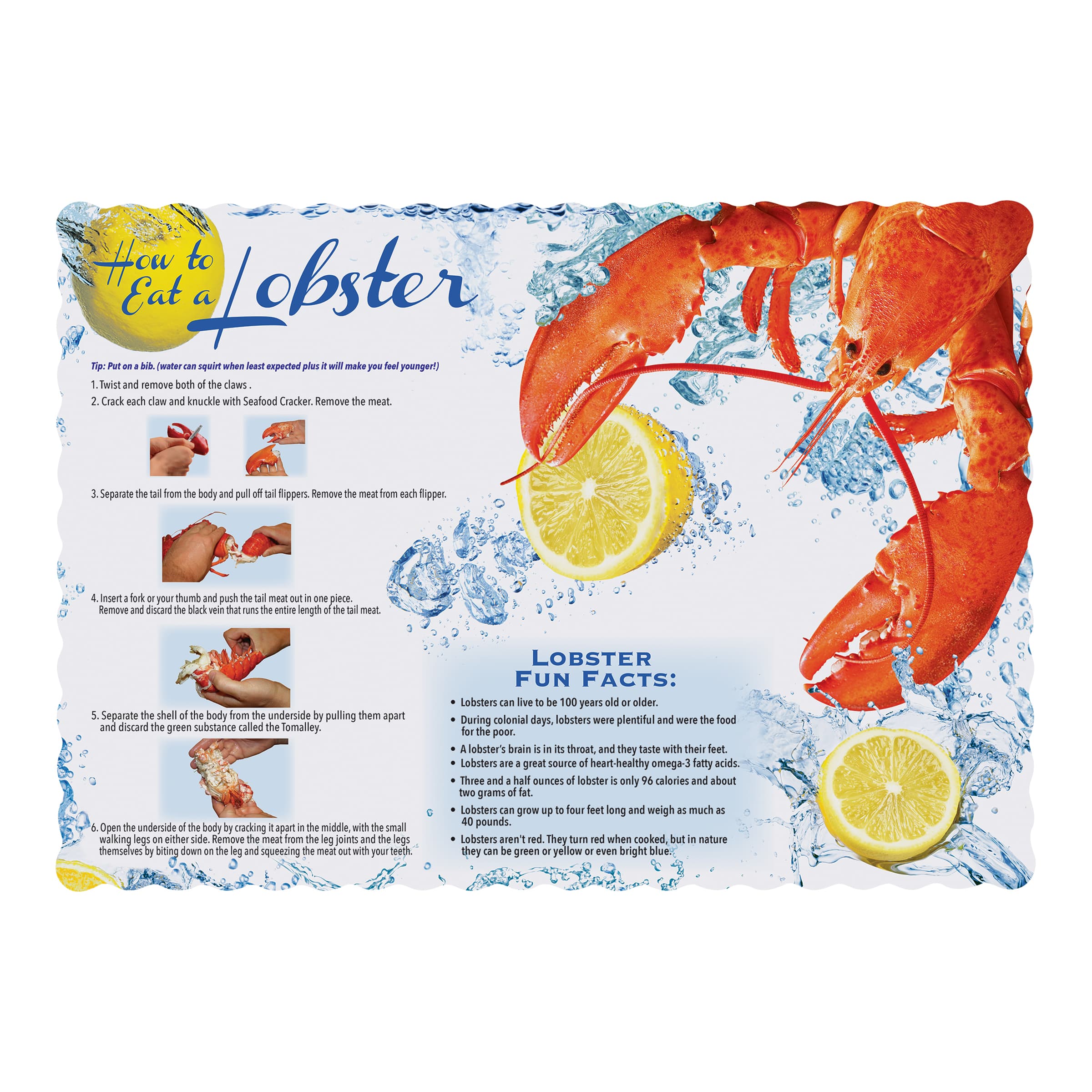 Placemat 9.75X14 IN Lobster Facts Paper 1000/Case