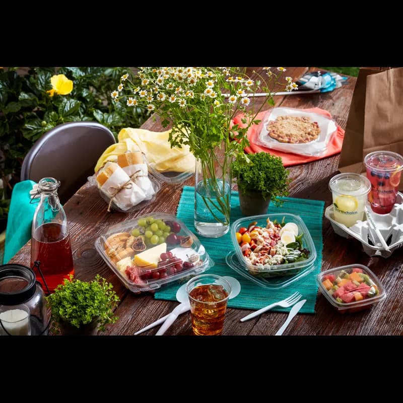 Take-Out Container Hinged With Dome Lid 8.87X9.22X2.81 IN RPET Clear Square 250/Case