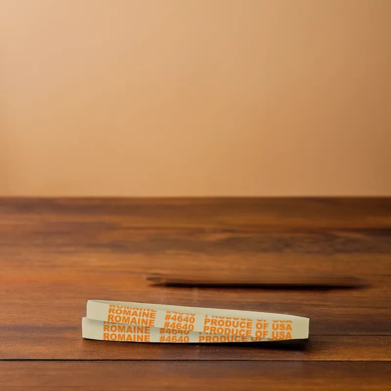 Romaine Lettuce Rubber Band 5.5X0.375 IN Rubber Latex White Orange 1/Bag