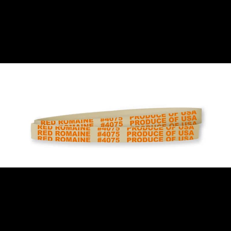 Red Leaf Lettuce Rubber Band 5.5X0.375 IN Rubber Latex White Orange 1/Bag