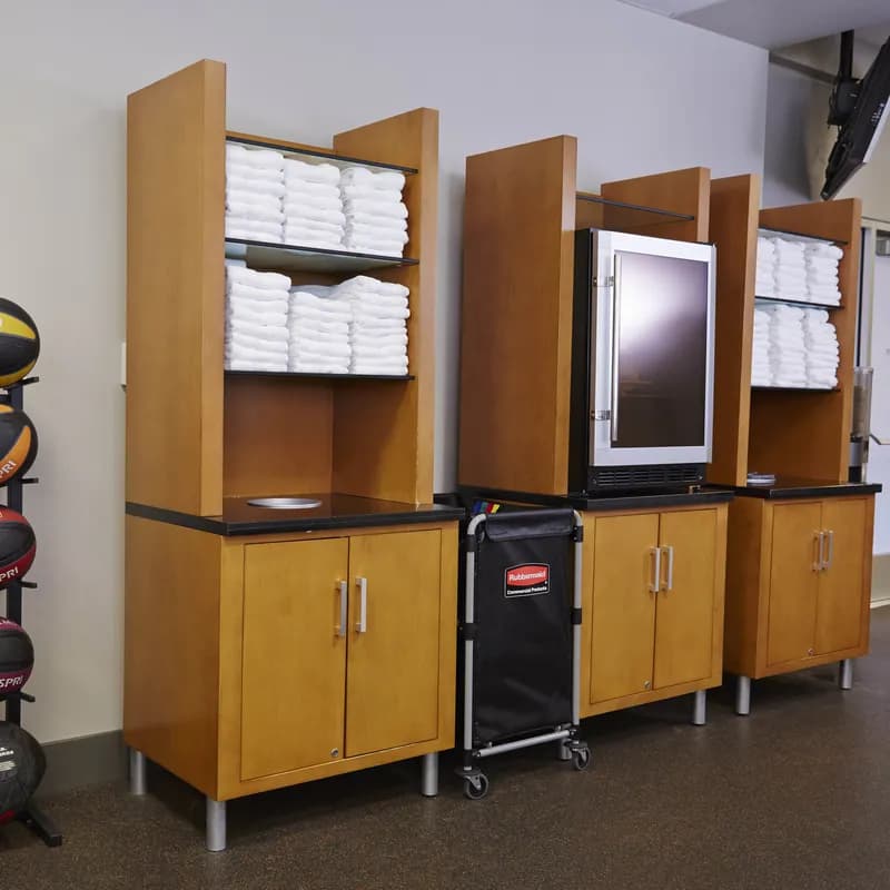 Executive Series™ Collapsible X-Cart 24.10X20.30X34.00 IN 4 Bushel Black Steel Canvas 1/Each
