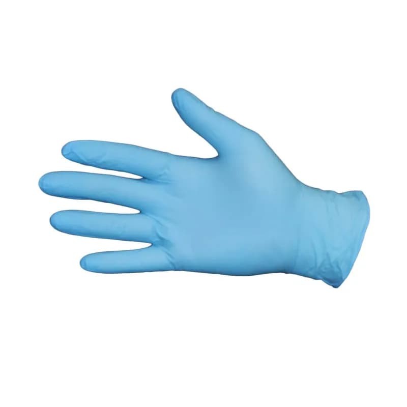 General Purpose Gloves Large (LG) Blue Nitrile Powder-Free 100 Count/Pack 10 Packs/Case 1000 Count/Case