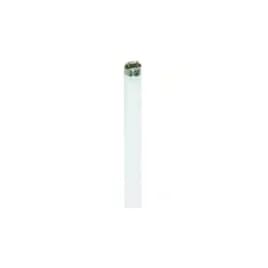 F32T8/841/ENV Light Bulb Fluorescent 4100K Color Temperature Med Bi-Pin (G13) Base 30/Case