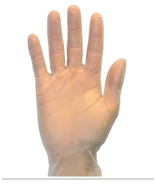 Gloves XL Clear 5MIL Vinyl Powder-Free 1000/Case