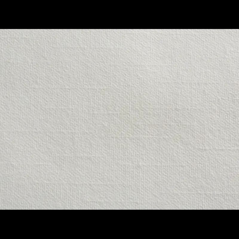 Dixie® Ultra Dinner Napkins 15X16 IN White Airlaid Paper 1PLY Flat Pack 1000/Case