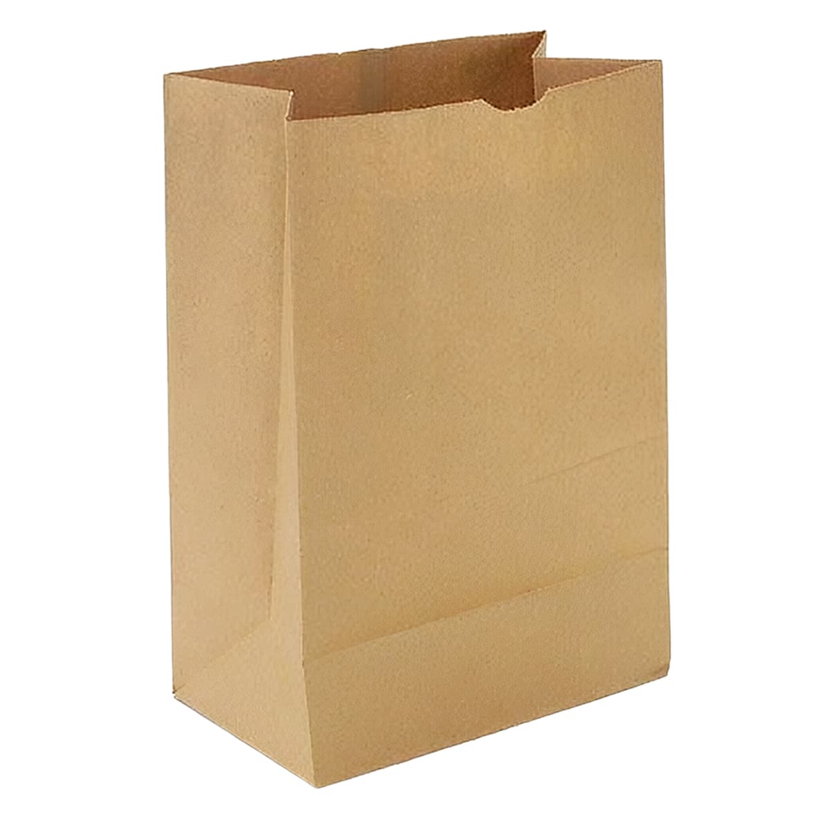 Grocery Bag 1/6 BBL Paper 40/40# With Self-Opening (SOS) Closure Duplex 400/Bundle