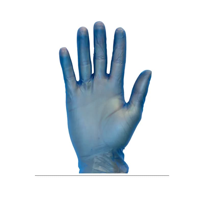 Gloves Large (LG) Heavy Vinyl Powder-Free 100 Count/Box 10 Box/Case